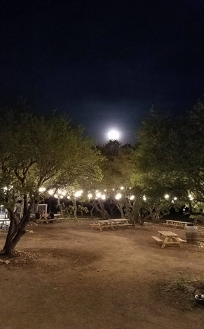 perfect brewery at night with moon